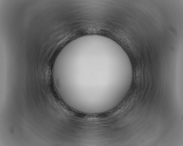 X0000110690228200906121102