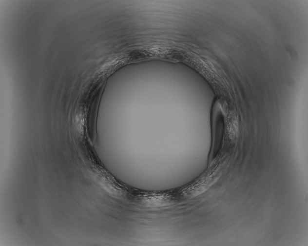 X0000110690235200906121102
