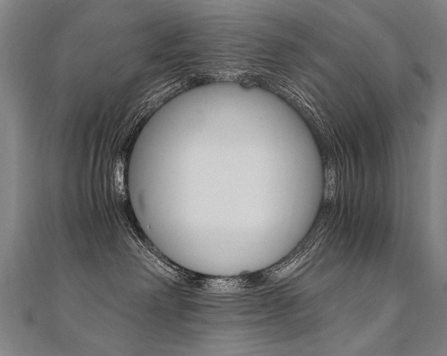 X0000110690238200906121102