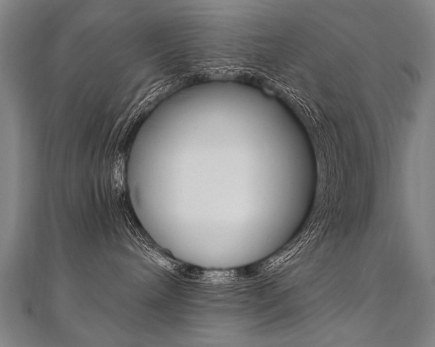 X0000110690240200906121102