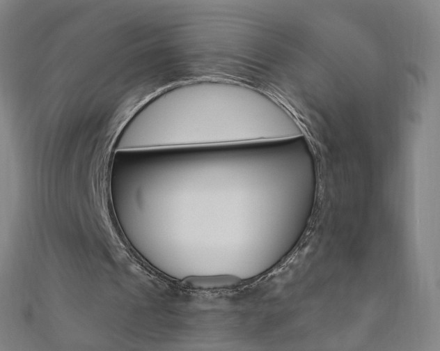 X0000110690241200906121102