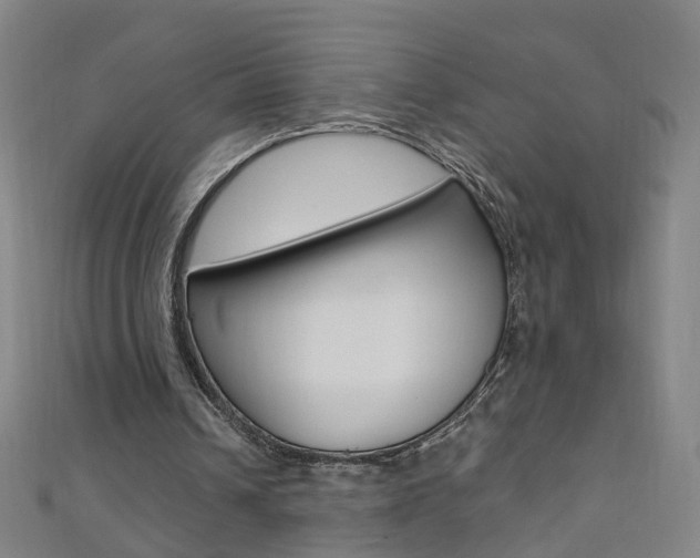 X0000110690242200906121102