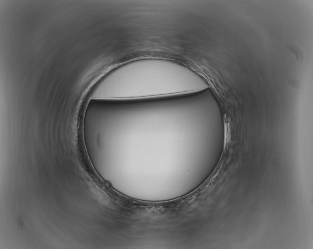 X0000110690243200906121102