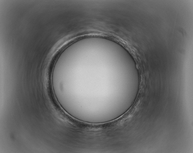 X0000110690247200906121102