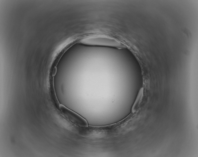 X0000110690248200906121102