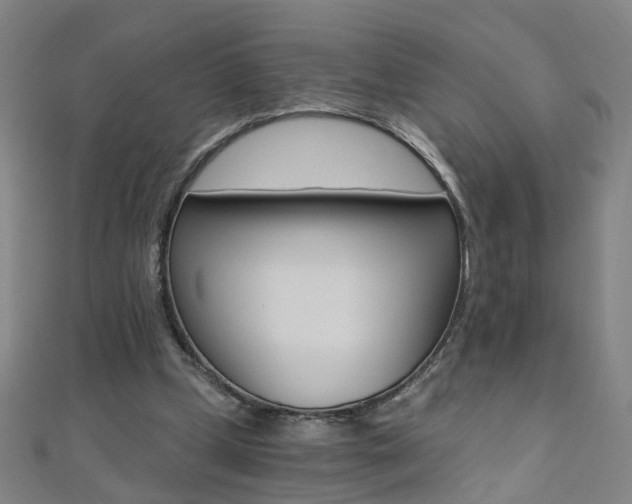 X0000110690249200906121102