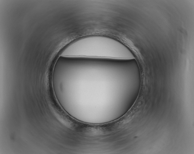 X0000110690250200906121102