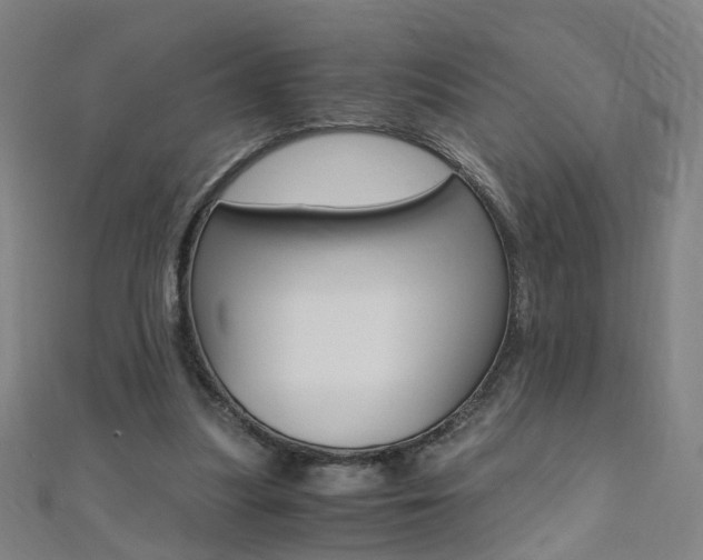 X0000110690251200906121102