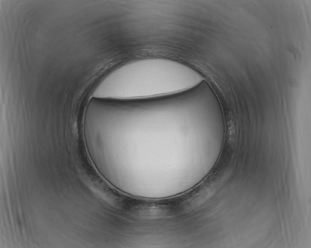 X0000110690254200906121102