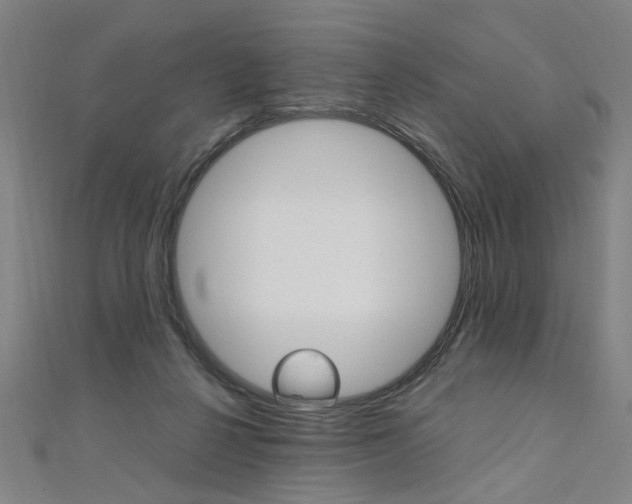 X0000110690264200906121102