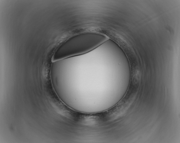 X0000110690268200906121102