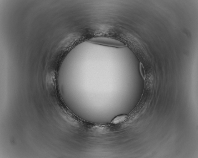 X0000110690280200906121102