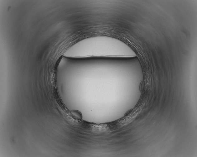X0000110690281200906121102