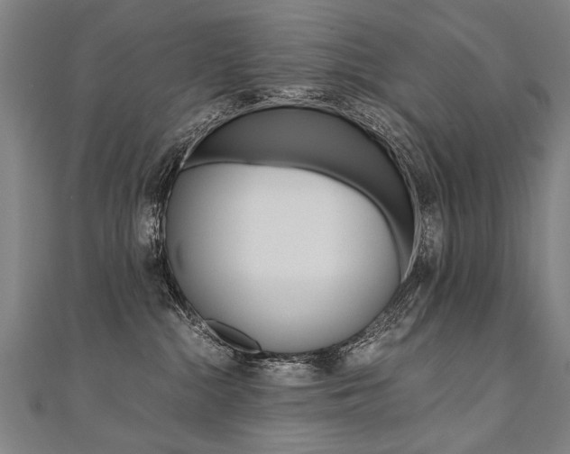 X0000110690284200906121102