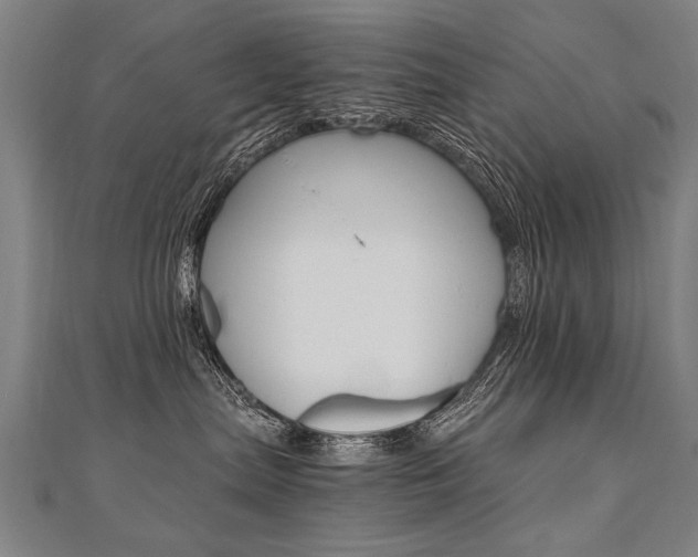 X0000110690287200906121102