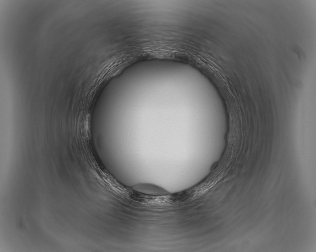X0000110690288200906121102