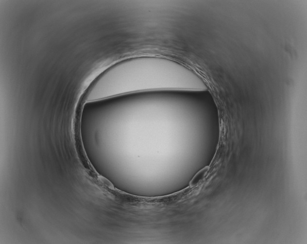 X0000110690292200906121101