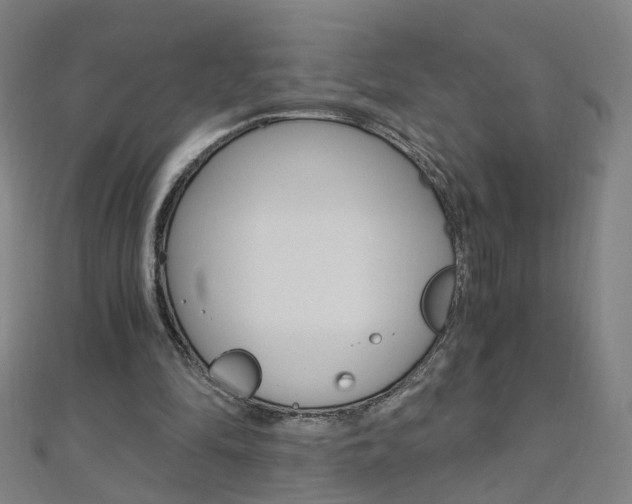 X0000110690294200906121101