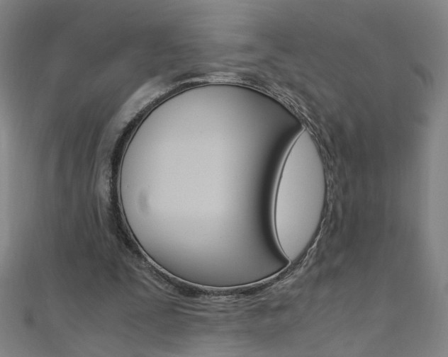 X0000110690295200906121101