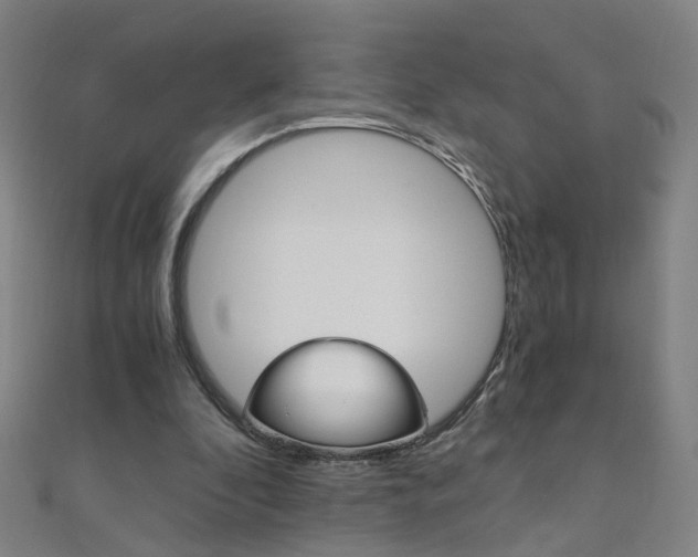 X0000110690296200906121101