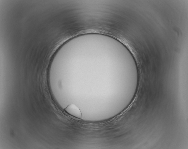 X0000110690297200906121101