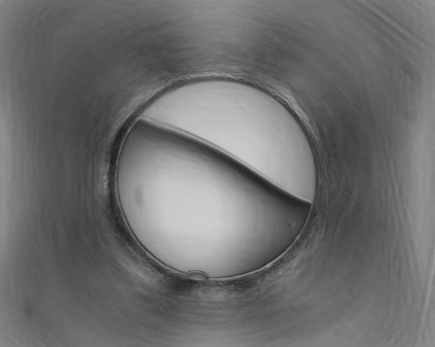 X0000110690299200906121101