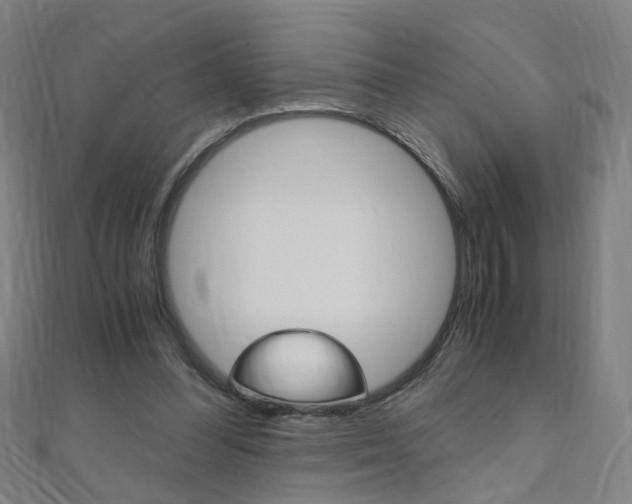 X0000110690300200906121101