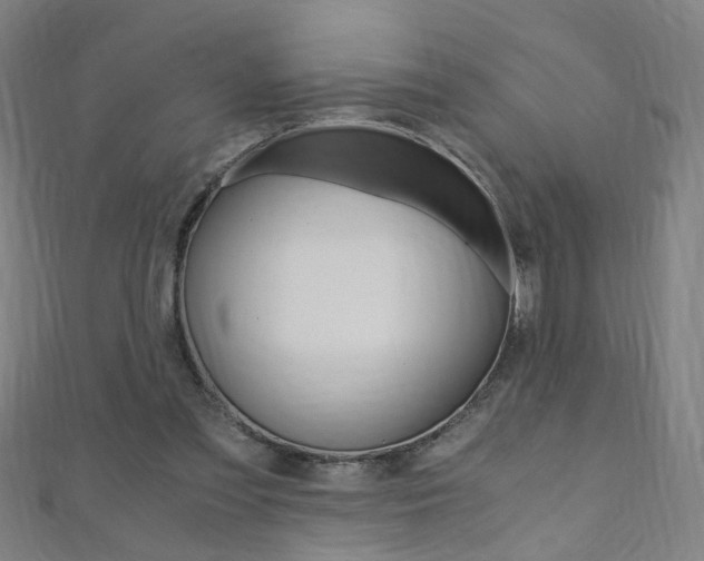 X0000110690301200906121101