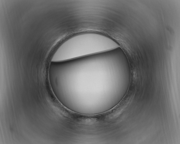 X0000110690304200906121101