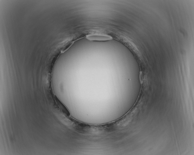X0000110690305200906121101