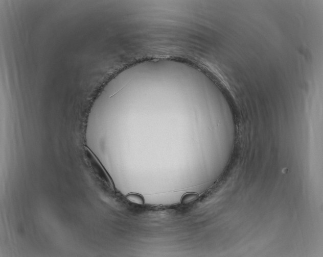 X0000110690307200906121101