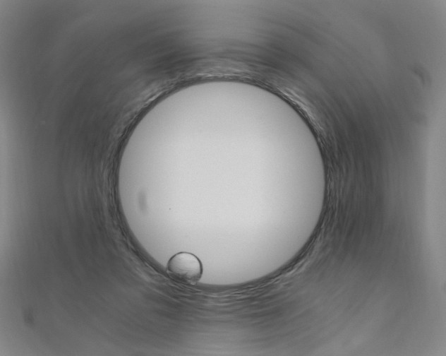 X0000110690309200906121101