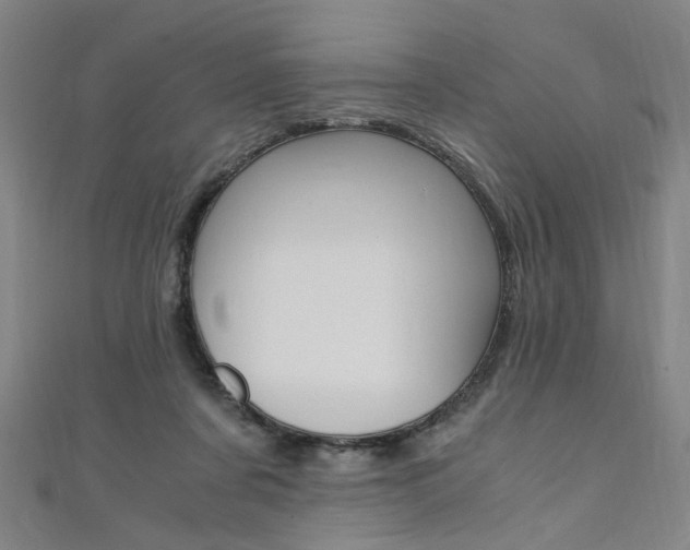 X0000110690311200906121101
