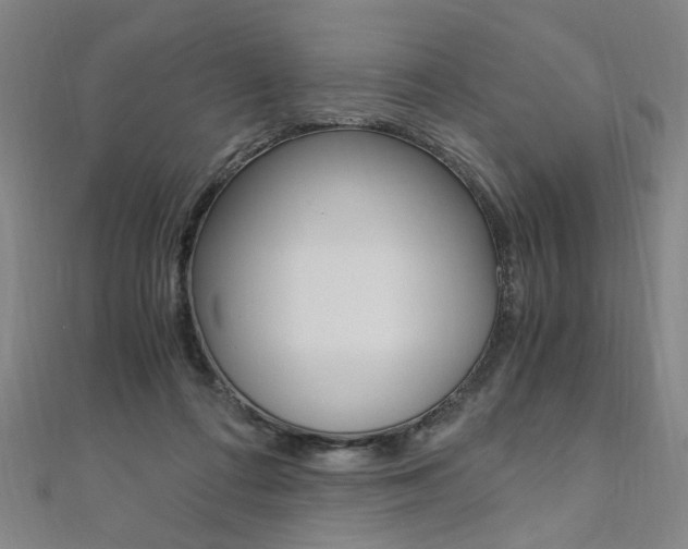 X0000110690312200906121101
