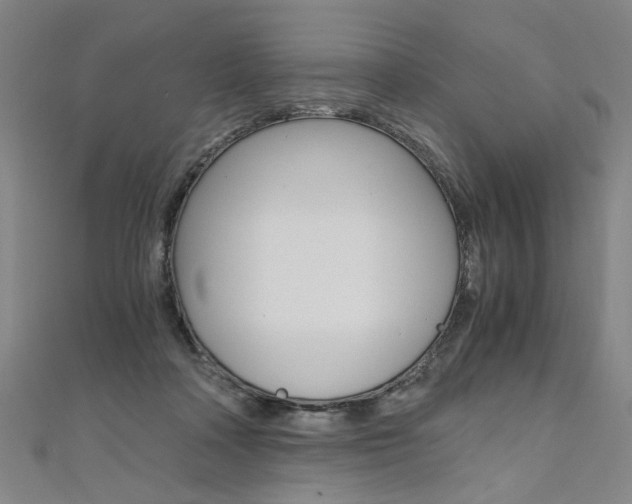 X0000110690314200906121101