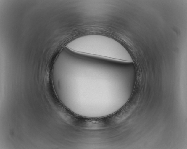 X0000110690315200906121101