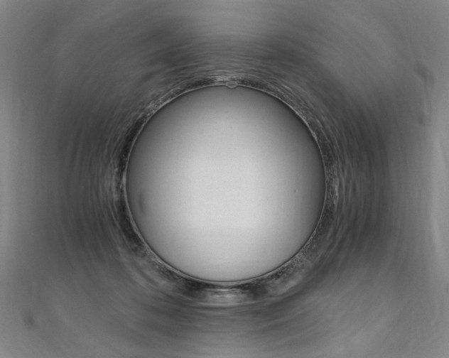 X0000110690316200906121101