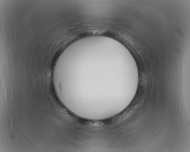 X0000110690321200906121101