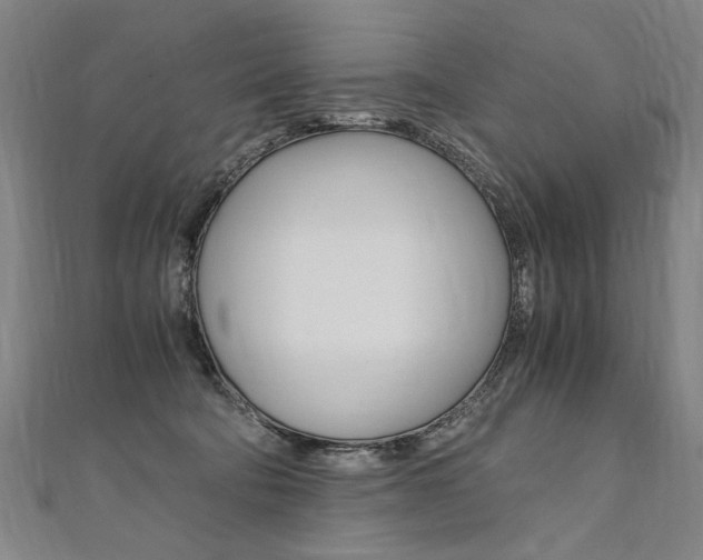 X0000110690322200906121101