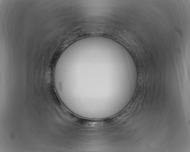 X0000110690323200906121101