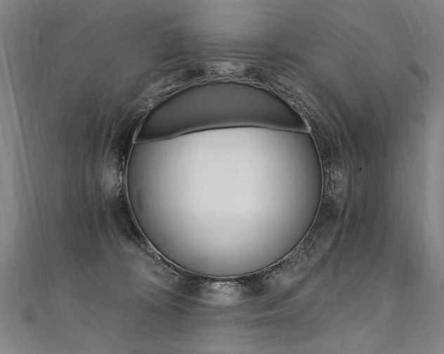 X0000110690324200906121101