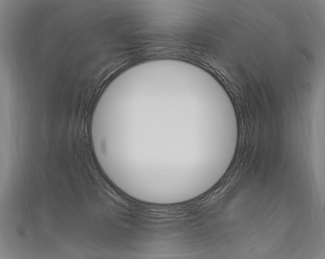 X0000110690325200906121101