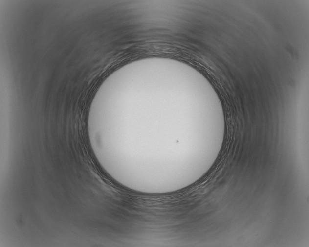 X0000110690327200906121101