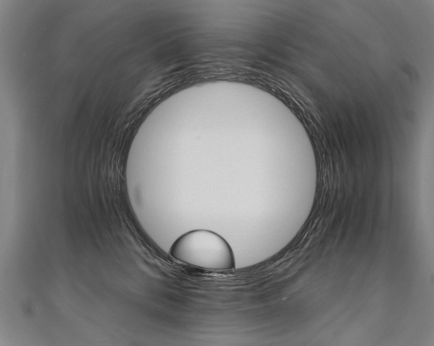 X0000110690328200906121101
