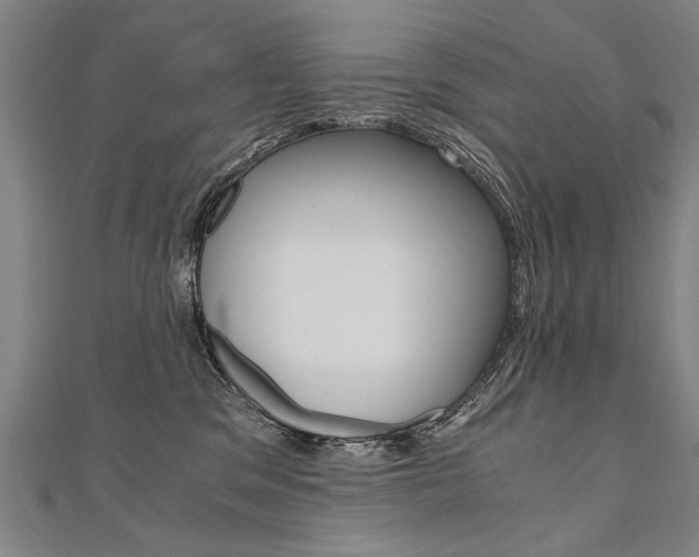 X0000110690329200906121101
