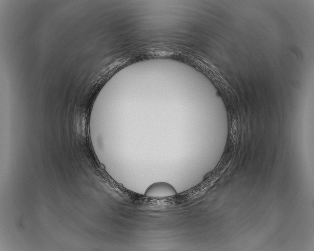 X0000110690330200906121101