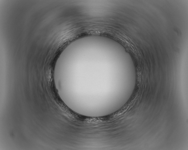 X0000110690331200906121101
