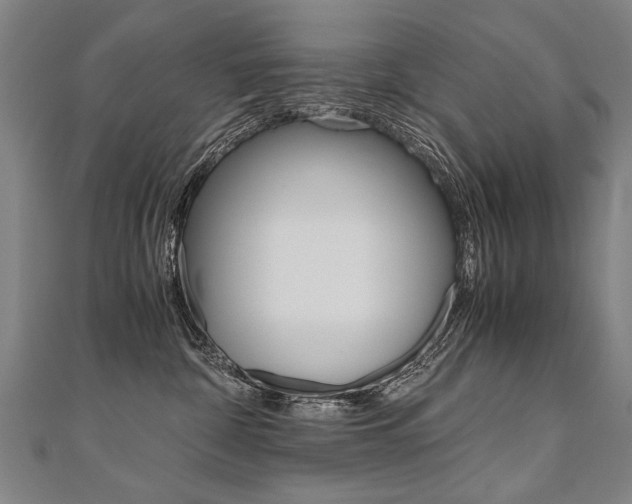X0000110690332200906121101
