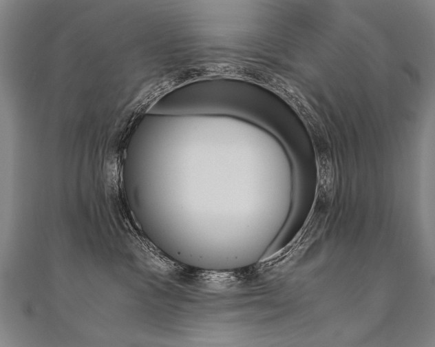 X0000110690333200906121101