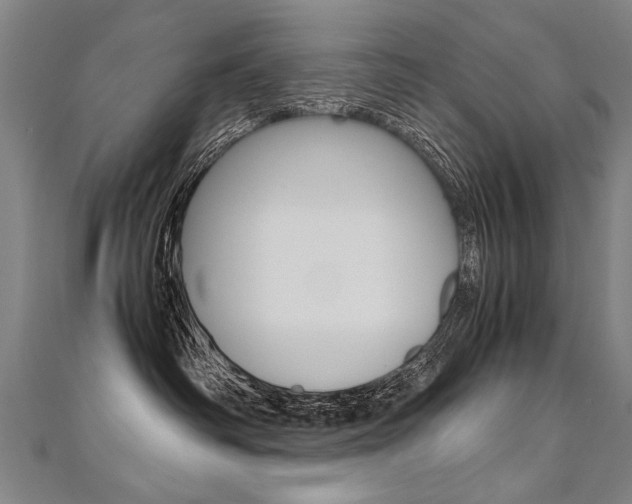 X0000110690334200906121101